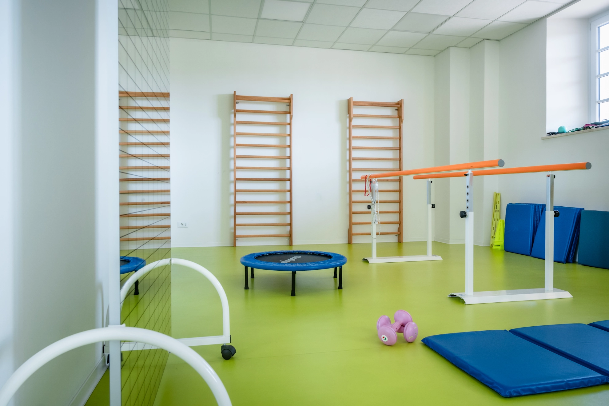 palestra